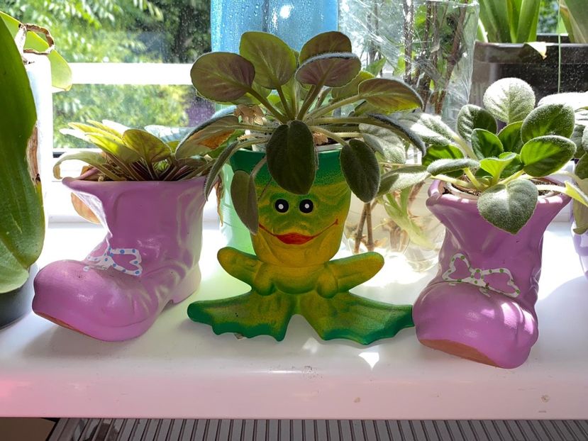 000DDF99-9E71-46EE-9A97-BF05D5A14C52 - FLORILE MELE 2021 nr 1