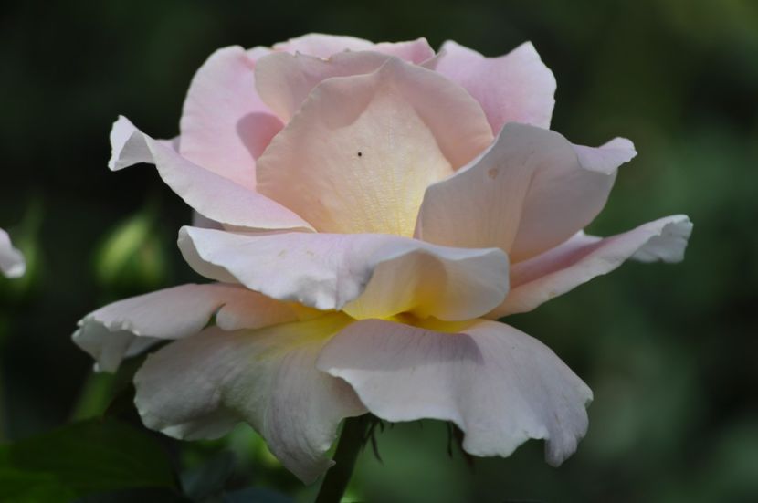_DSC0014 - VARA 2021_4