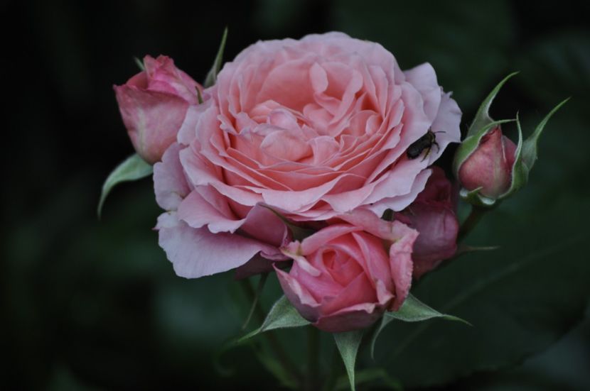 _DSC0196 - VARA 2021_4