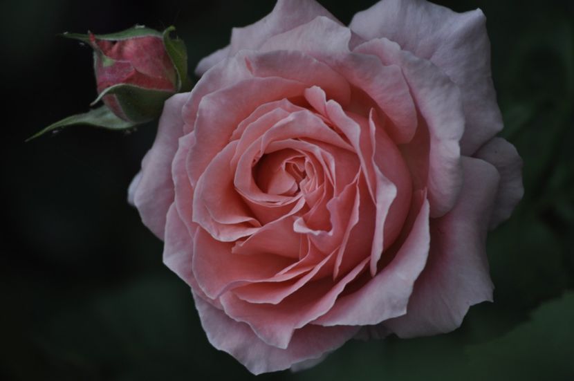 _DSC0202 - VARA 2021_4