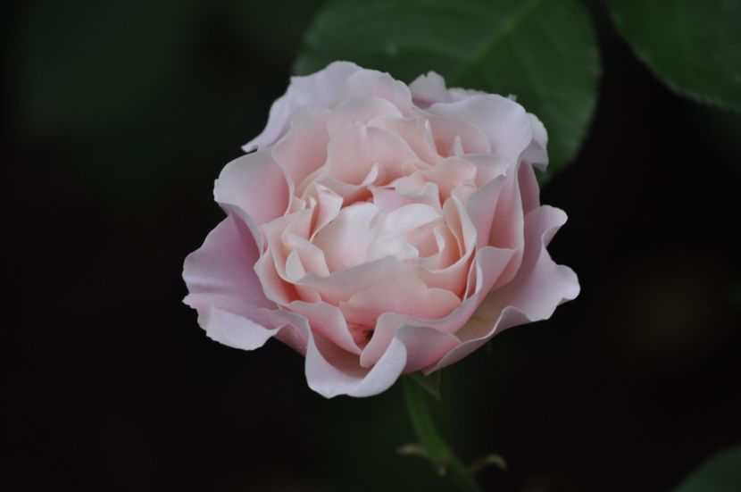 _DSC0211 - VARA 2021_4