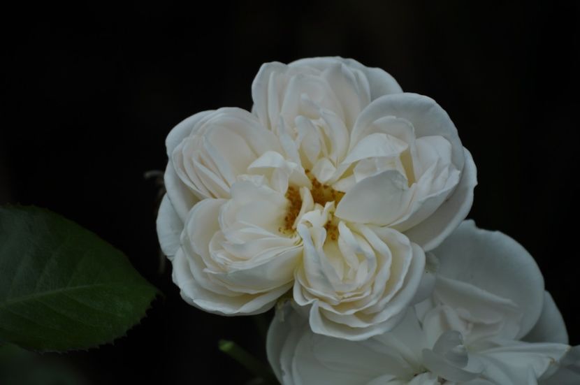_DSC0224 - VARA 2021_4
