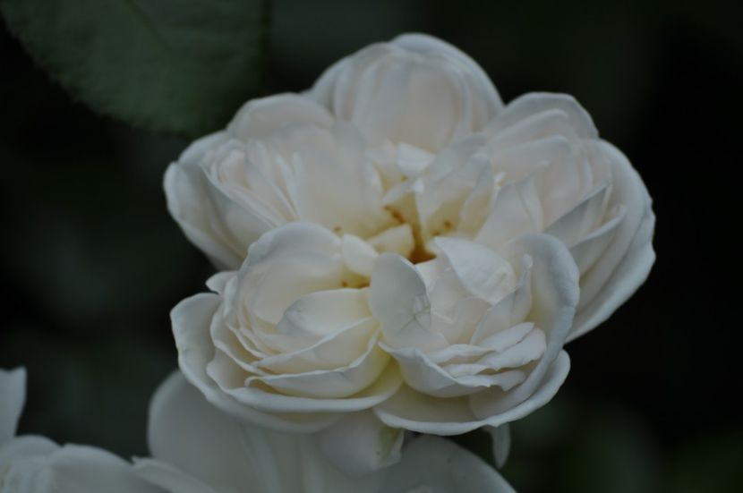 _DSC0226 - VARA 2021_4