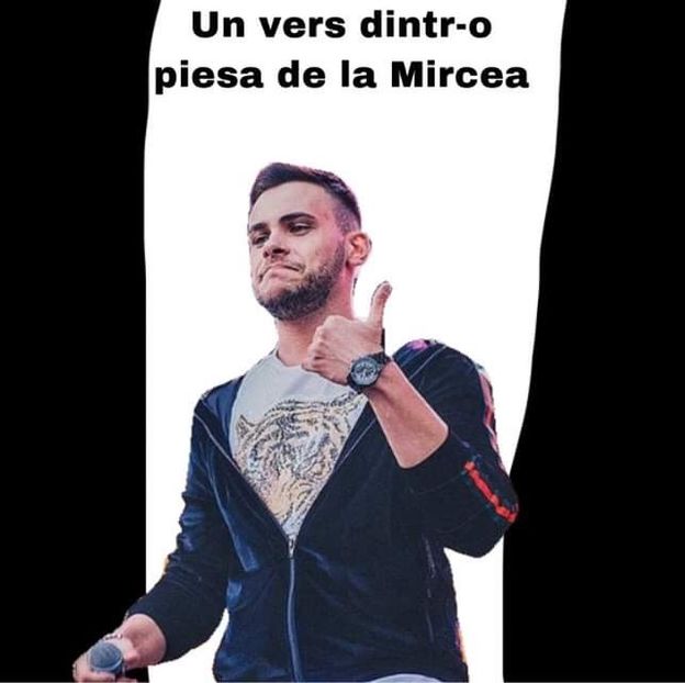 8488C2F6-4EA5-4997-A856-05EBD5CC7D38 - 001 Mircea ac