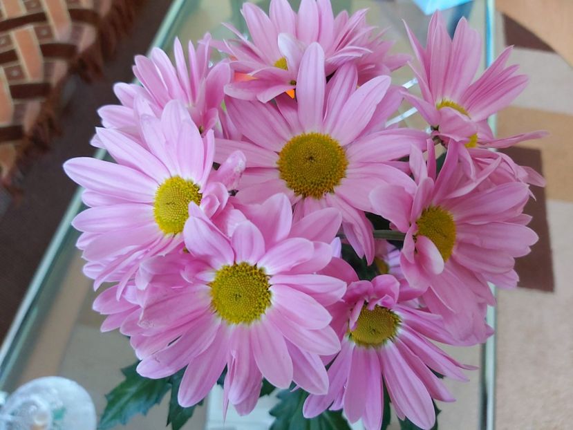  - Floricele diverse 2021