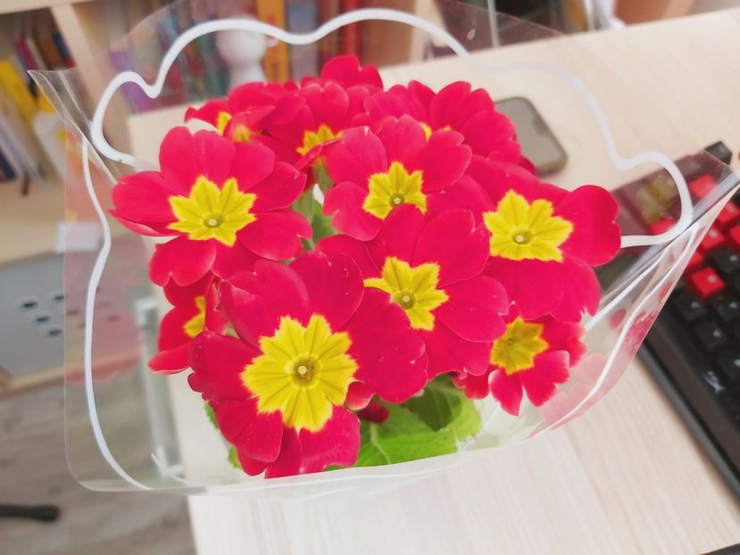  - Floricele diverse 2021