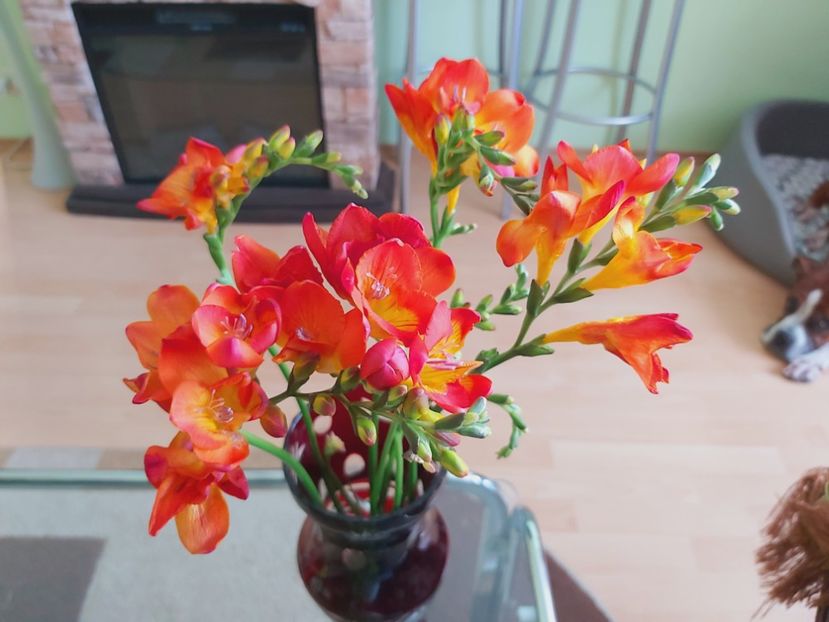  - Floricele diverse 2021