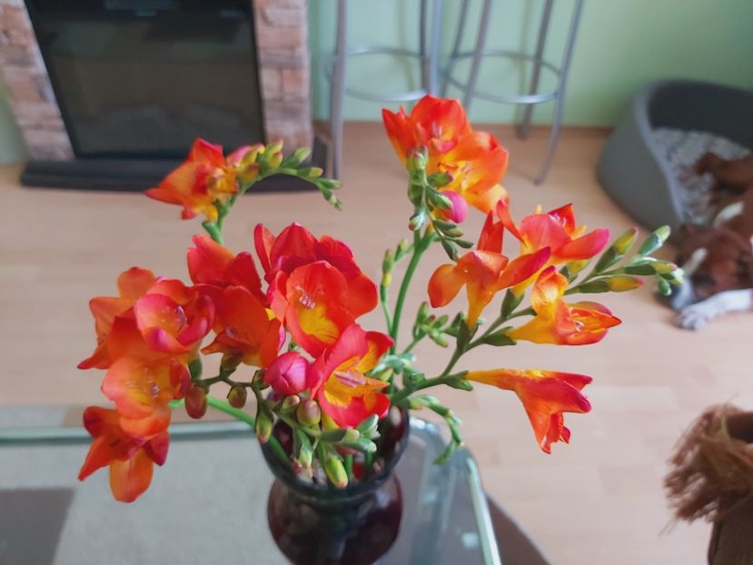  - Floricele diverse 2021