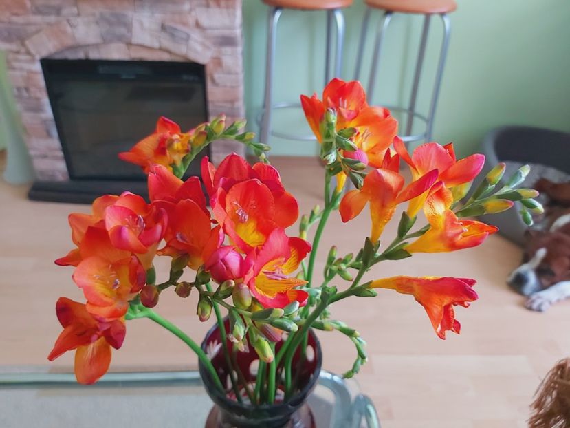  - Floricele diverse 2021