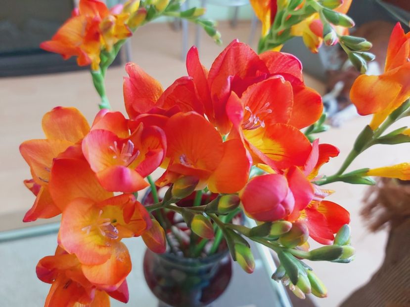  - Floricele diverse 2021