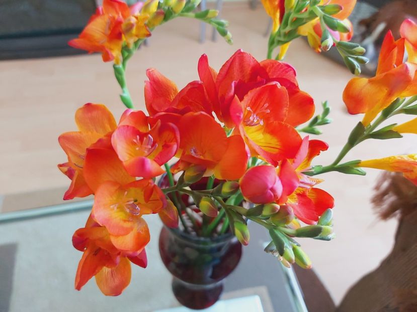  - Floricele diverse 2021