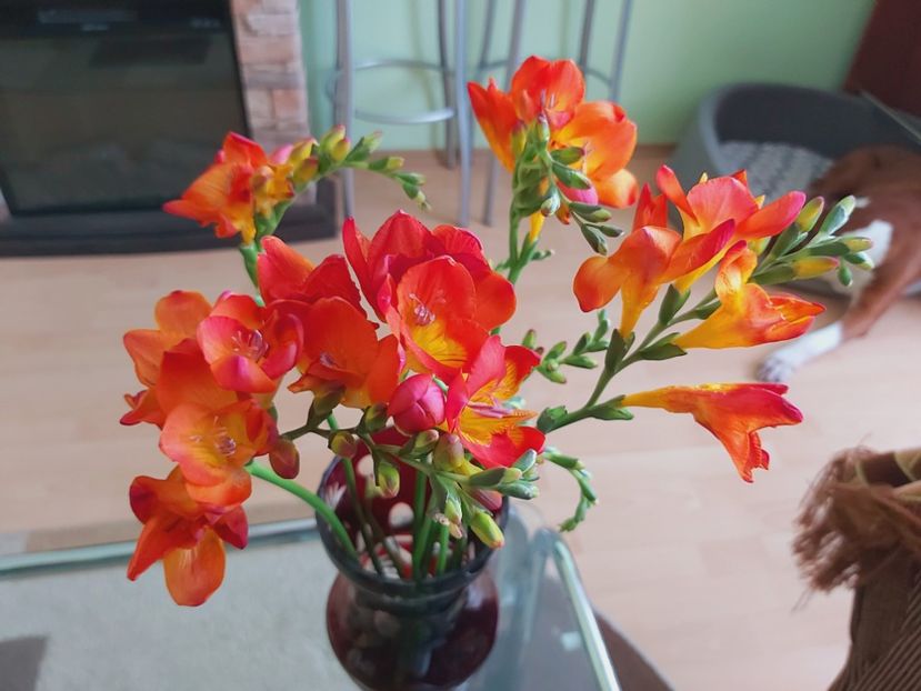  - Floricele diverse 2021