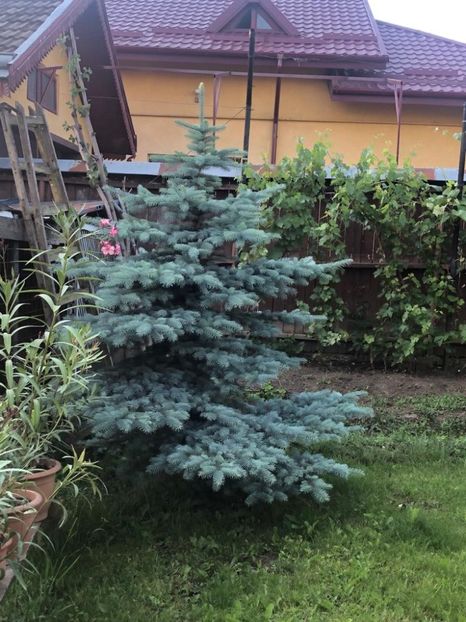 WhatsApp Image 2021-06-12 at 21.05.53 (18) - 08 Roman 12 06 2021