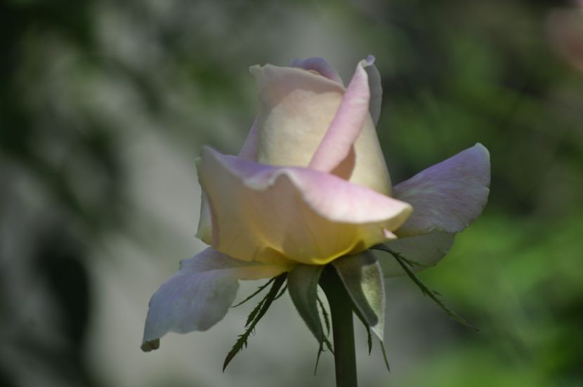 _DSC0424 - VARA 2021_5