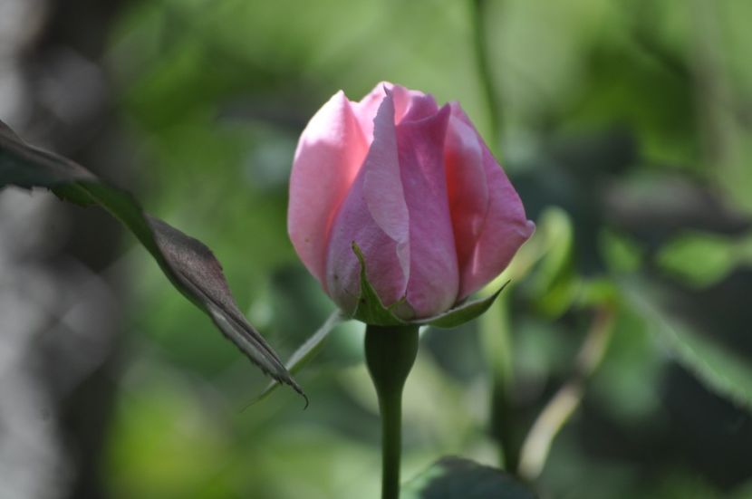 _DSC0434 - VARA 2021_5