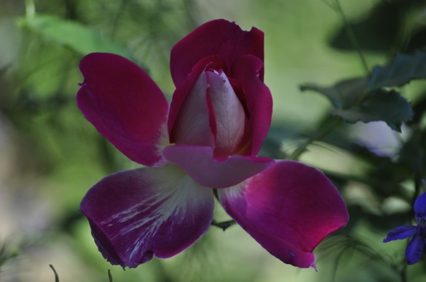 _DSC0545 - VARA 2021_5