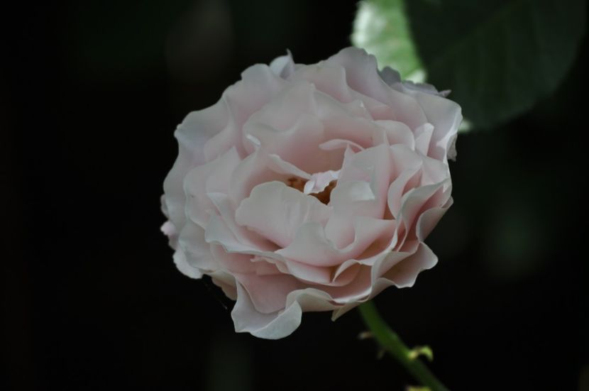 _DSC0611 - VARA 2021_5