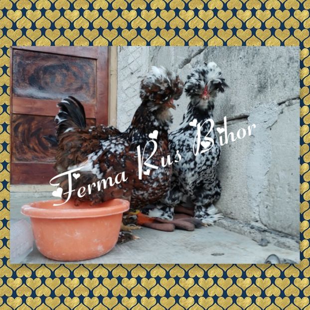 photocollage_202141321534256 - Strumski bobat și portelan și strumski pitici