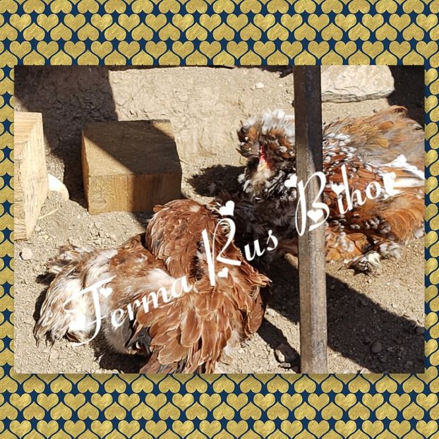 photocollage_2021421194642333 - Strumski bobat și portelan și strumski pitici