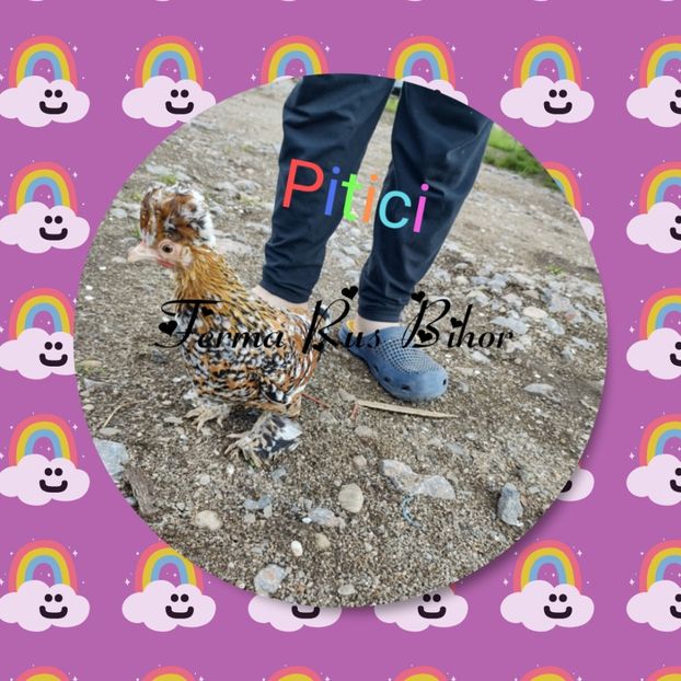 photocollage_202158225334240 - Strumski bobat și portelan și strumski pitici