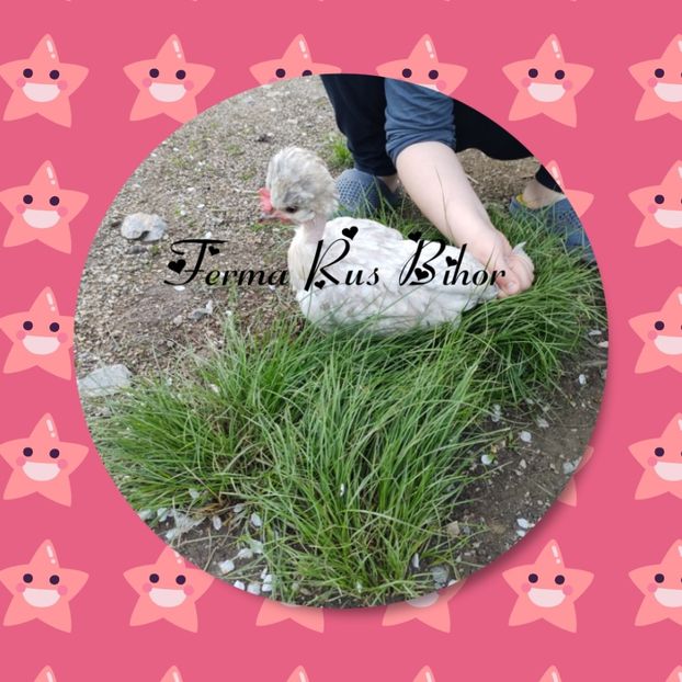 photocollage_202158225649831 - Strumski bobat și portelan și strumski pitici