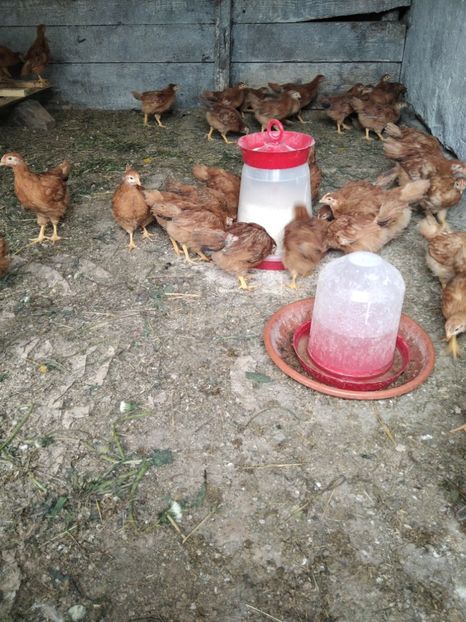  - New Hampshire 2021