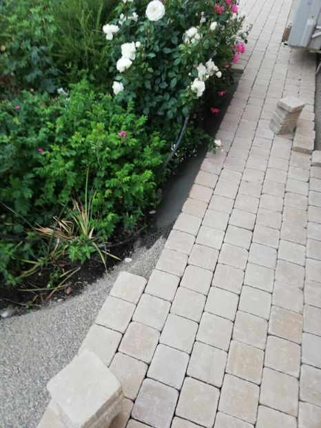  - Gradina iunie 2021