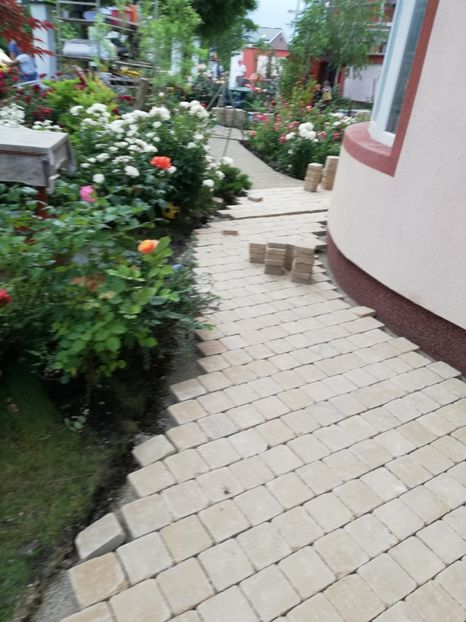  - Gradina iunie 2021