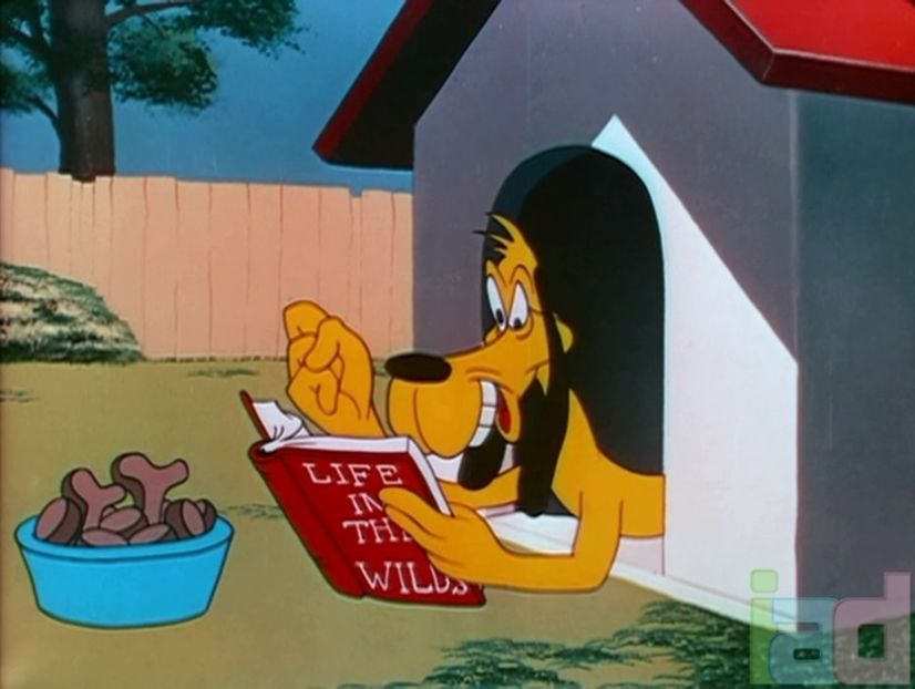 Looney Tunes - Looney Tunes Part 9