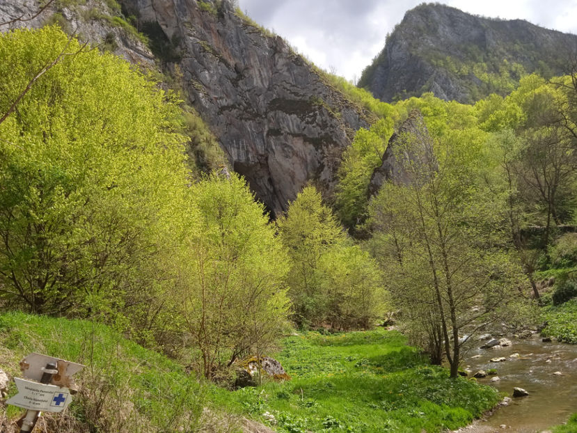  - Excursie la cascade