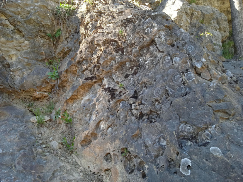  - Excursie la cascade