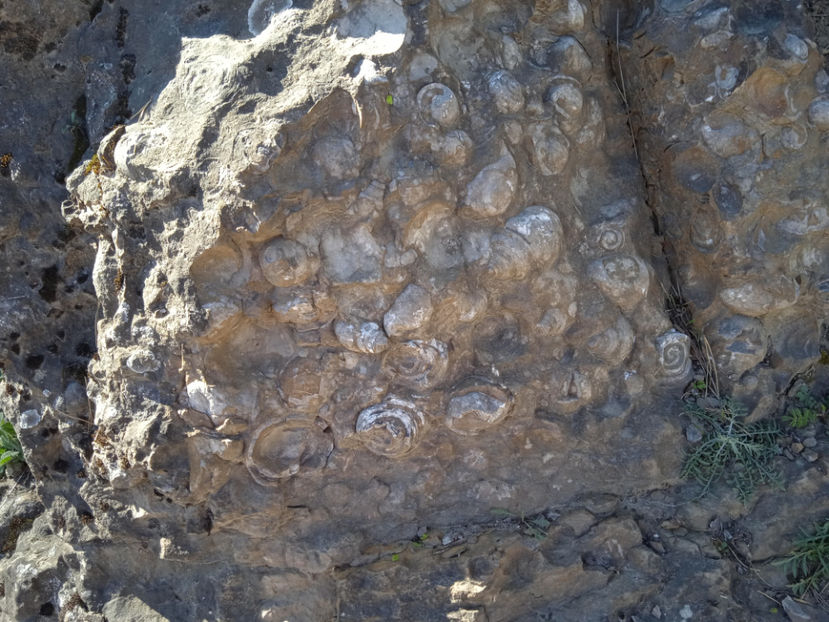  - Excursie la cascade