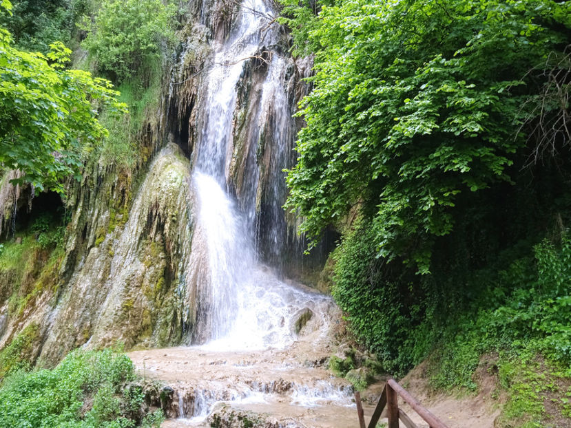  - Excursie la cascade