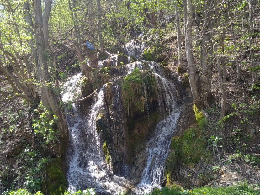  - Excursie la cascade