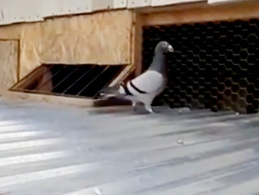 Screenshot_20210613-222949_Facebook - 2021