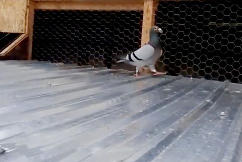 Screenshot_20210613-222931_Facebook - 2021