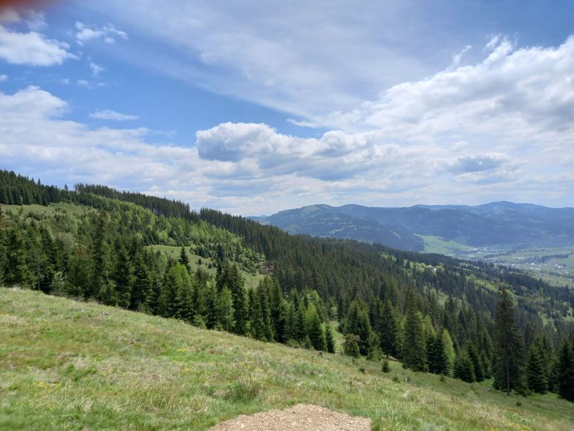 WhatsApp Image 2021-06-05 at 12.52.21 (2) - vatra dornei 3-6 iunie 2021