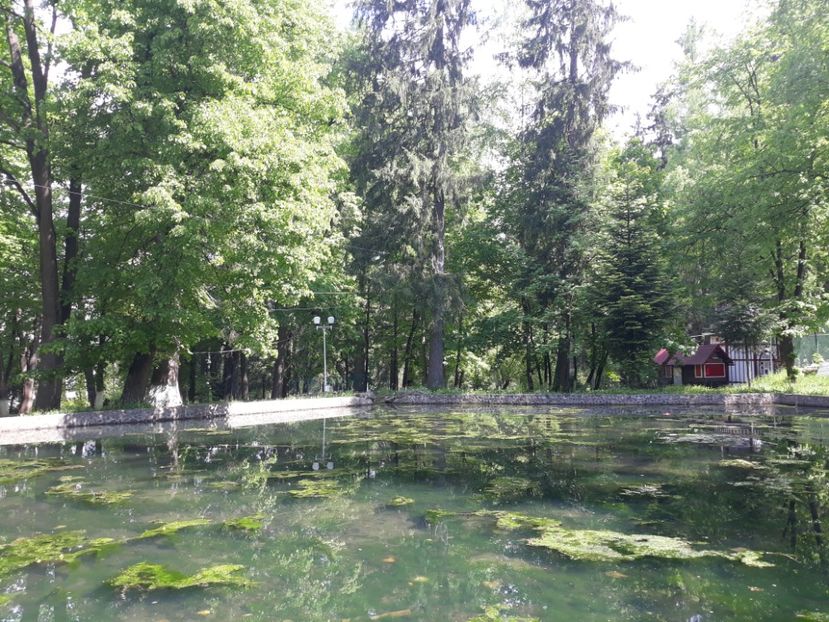  - vatra dornei 3-6 iunie 2021