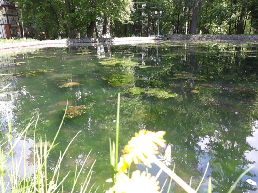  - vatra dornei 3-6 iunie 2021