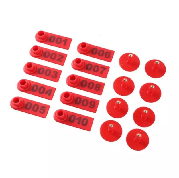 Screenshot_20210614-205151_AliExpress - AAAAA Crotalii de vanzare