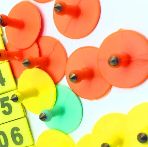 Screenshot_20210614-205200_AliExpress - AAAAA Crotalii de vanzare