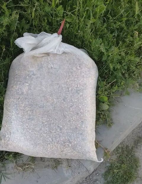  - Porumbei -NU SUNT DE VANZARE