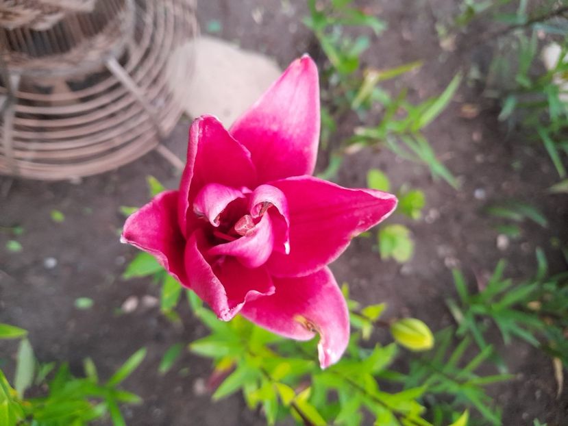  - Un nou inceput 2021