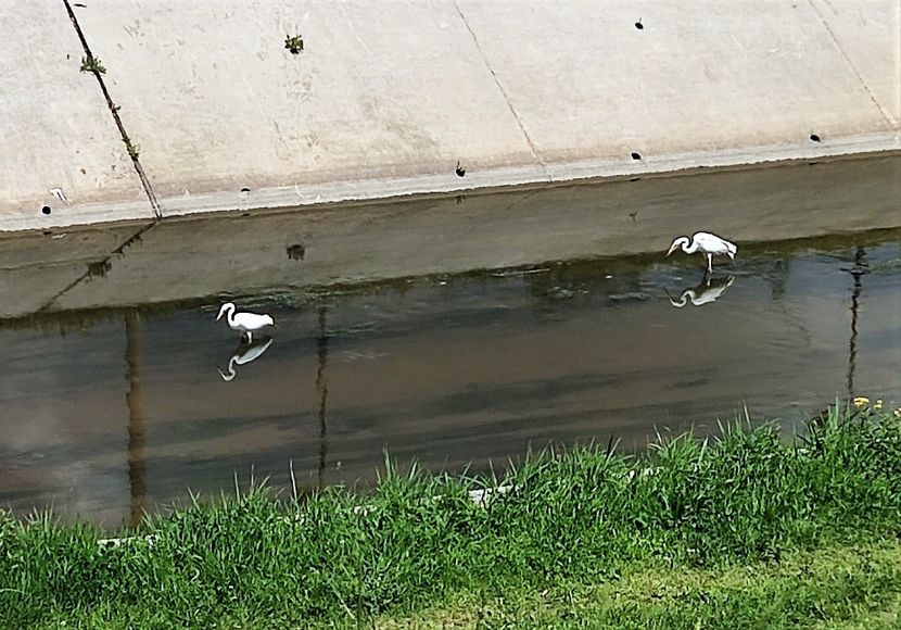  - z Prin oras si prin imprejurimi