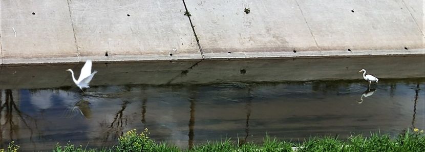  - z Prin oras si prin imprejurimi