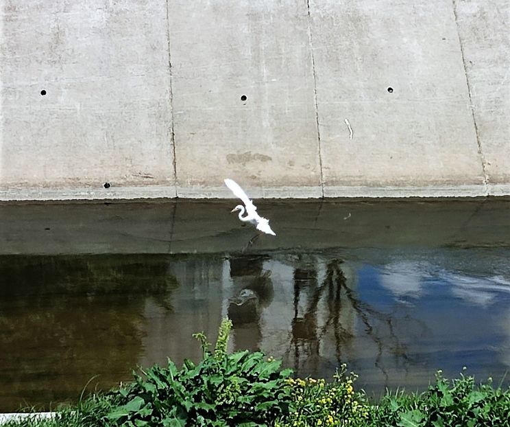  - z Prin oras si prin imprejurimi