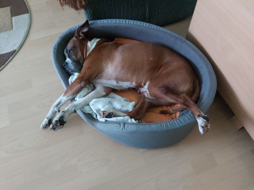  - zzz Bobby 2020 - 2021