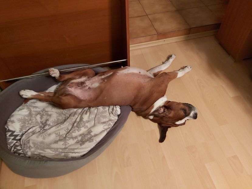  - zzz Bobby 2020 - 2021