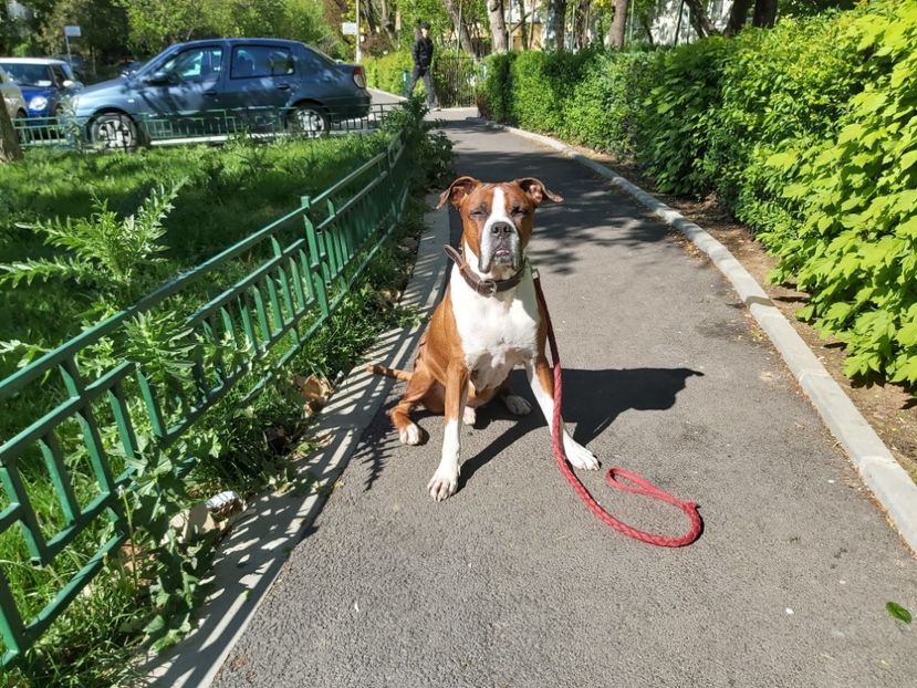  - zzz Bobby 2020 - 2021