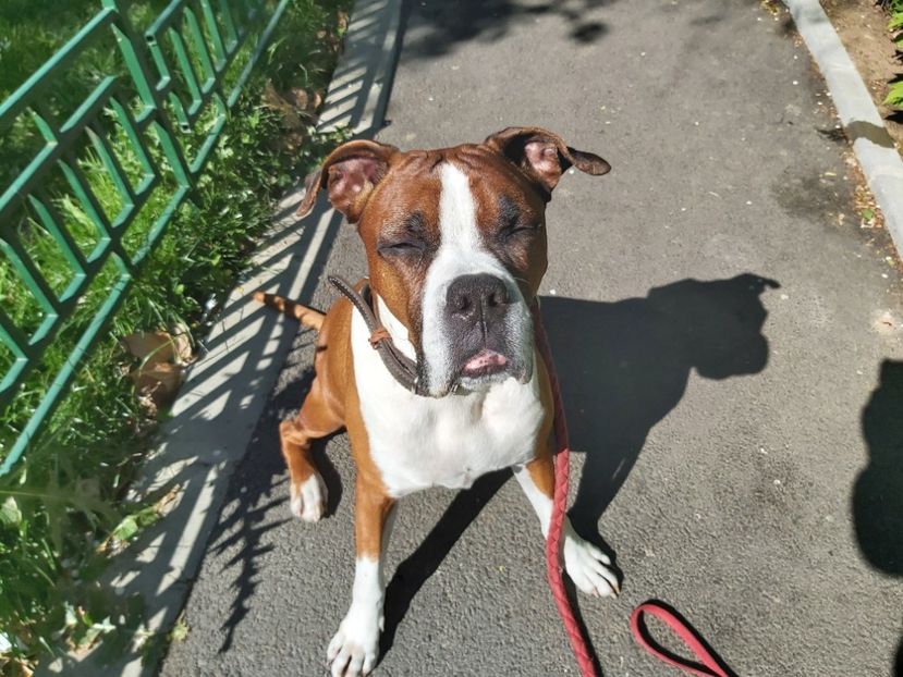  - zzz Bobby 2020 - 2021